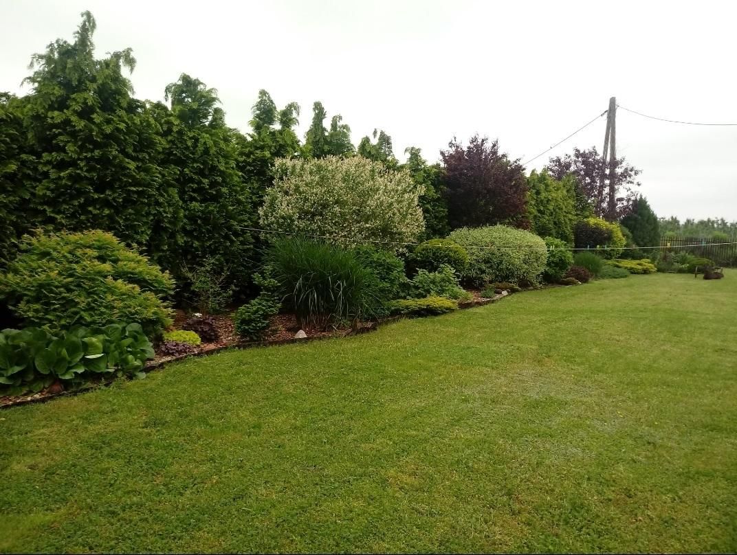 Działka rolna Aleksandria. Zdjęcie 8