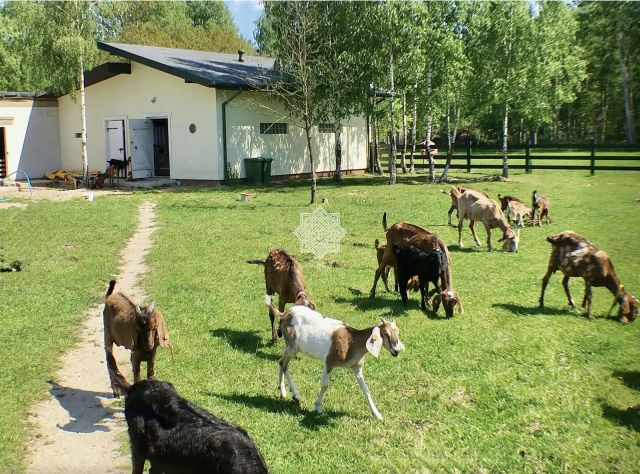 dom wolnostojący, 8 pokoi Koryciska. Zdjęcie 8