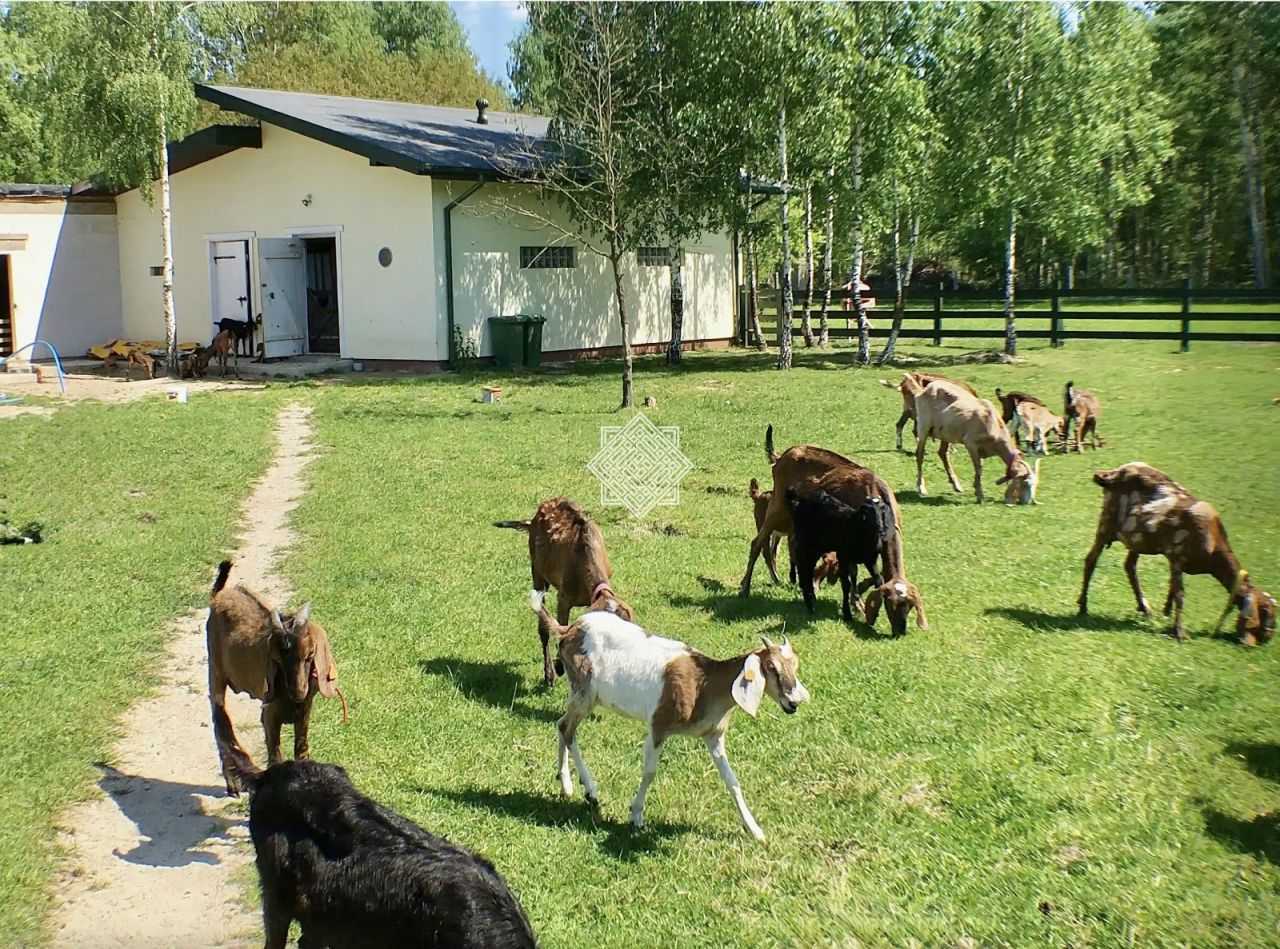 dom wolnostojący, 8 pokoi Koryciska. Zdjęcie 8