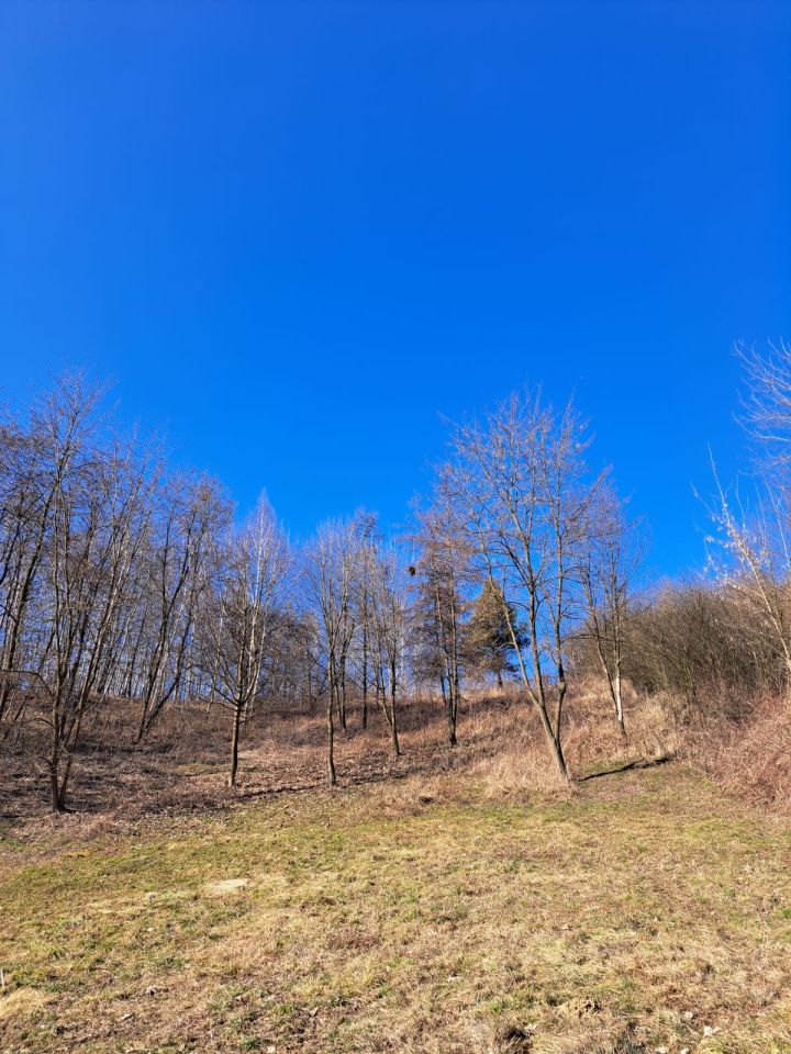 Działka budowlana Wysiołek Luborzycki, ul. Miodowa. Zdjęcie 2