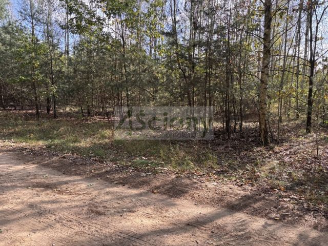 Działka budowlana Dębina. Zdjęcie 4