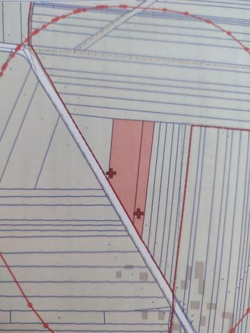 Działka rolna Modrzew. Zdjęcie 1