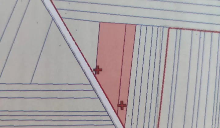 Działka rolna Modrzew