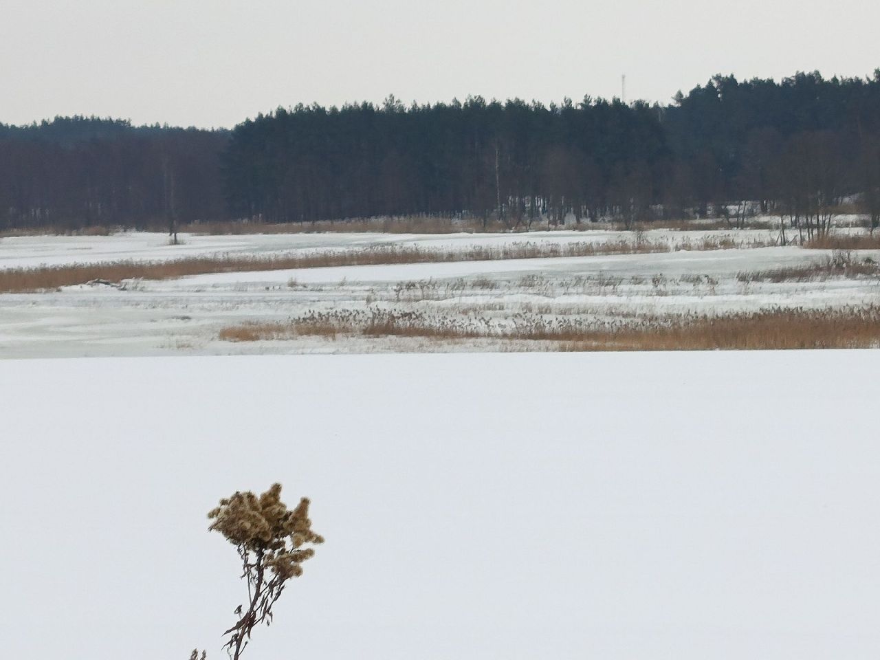 Działka budowlana Szramowo. Zdjęcie 8