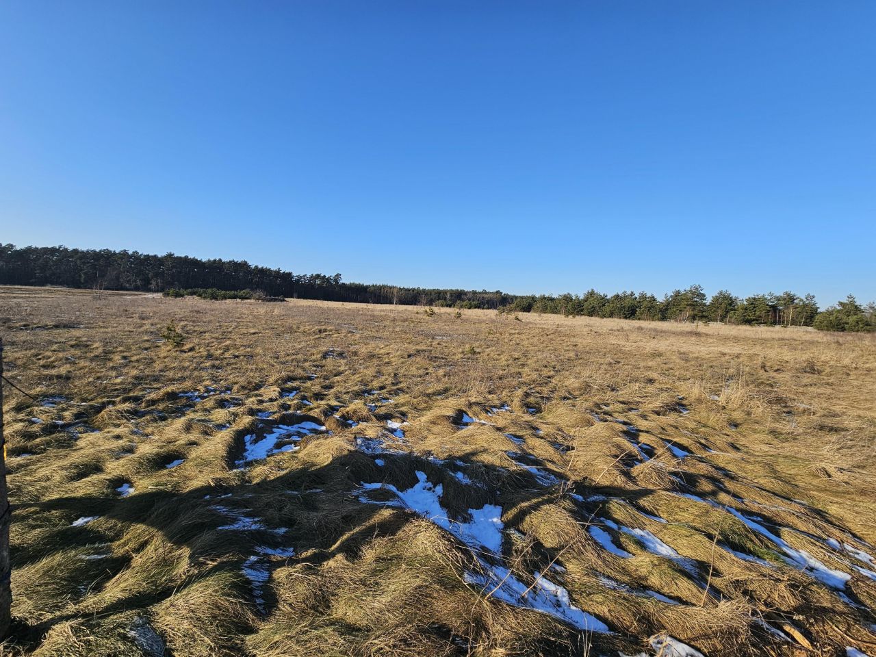 Działka budowlana Ćwierdzin. Zdjęcie 2