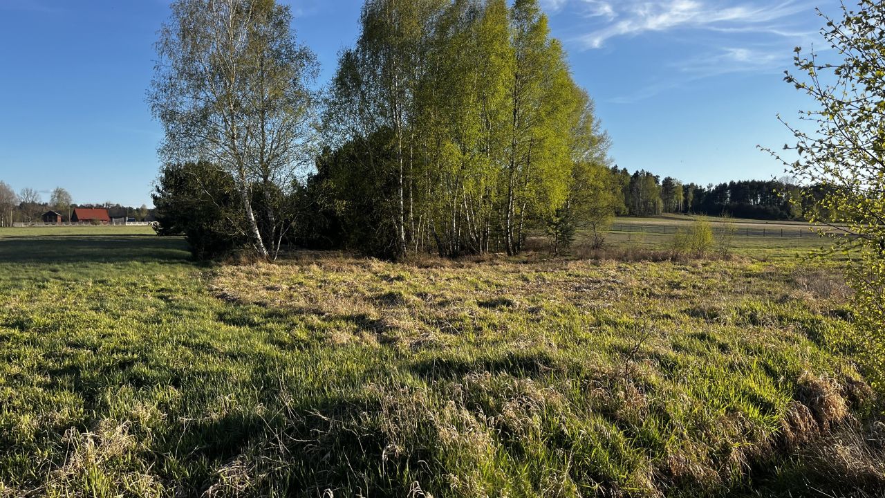 Działka budowlana Wincentynów. Zdjęcie 6