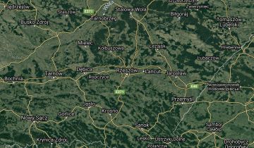 bliźniak Rzeszów. Zdjęcie 1