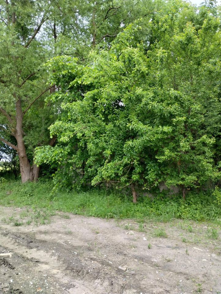 dom wolnostojący Żytno. Zdjęcie 3