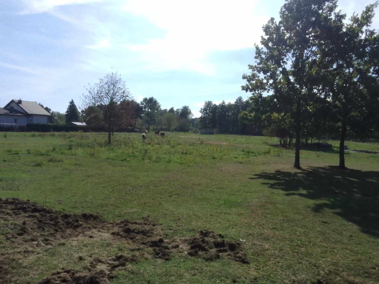 Działka budowlana Michałów-Reginów, ul. Polna. Zdjęcie 3