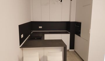 Mieszkanie 2-pokojowe Poznań Szeląg, ul. Wilczak