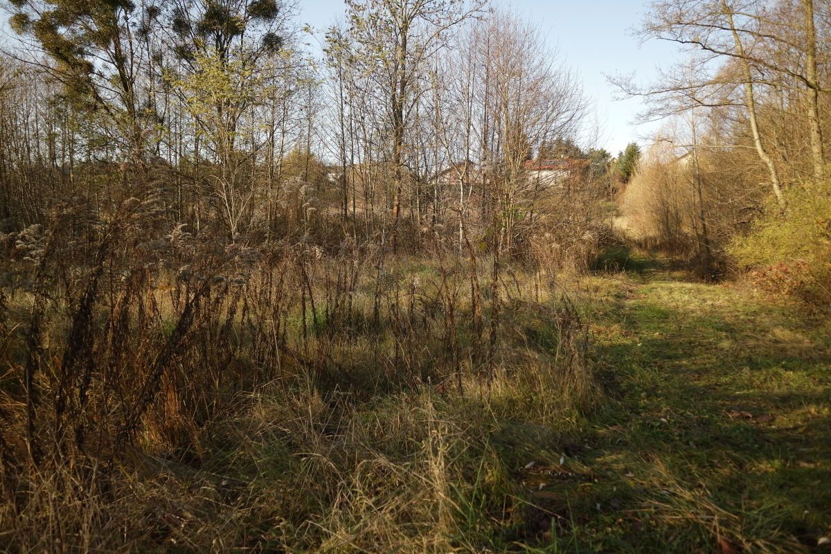 Działka budowlana Czerwonak, ul. Leśna. Zdjęcie 7