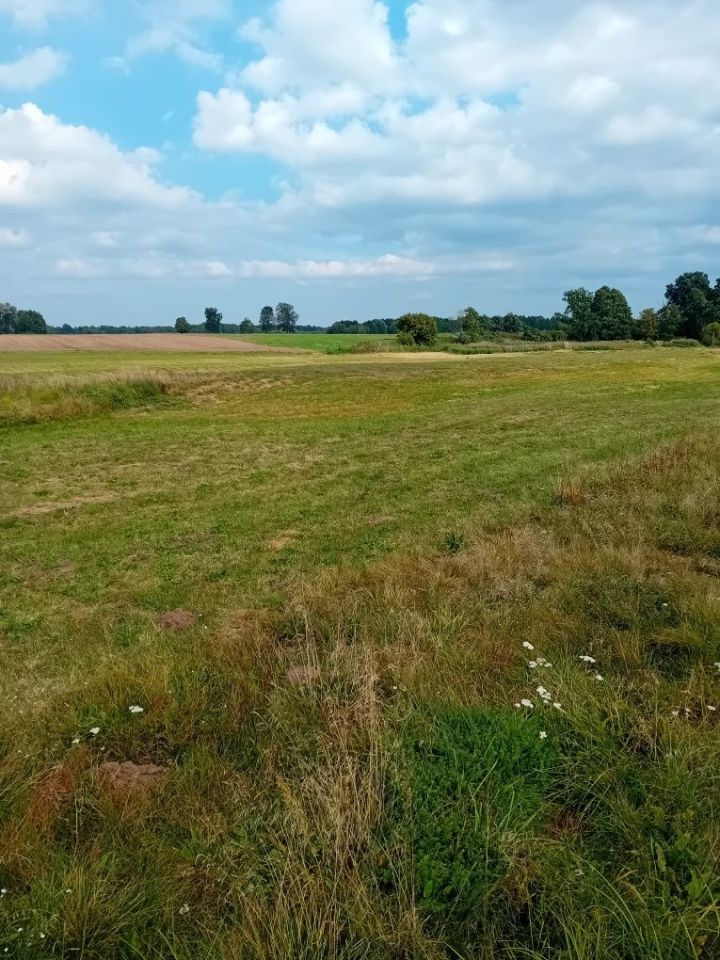 Działka rolna Giełczynek. Zdjęcie 5