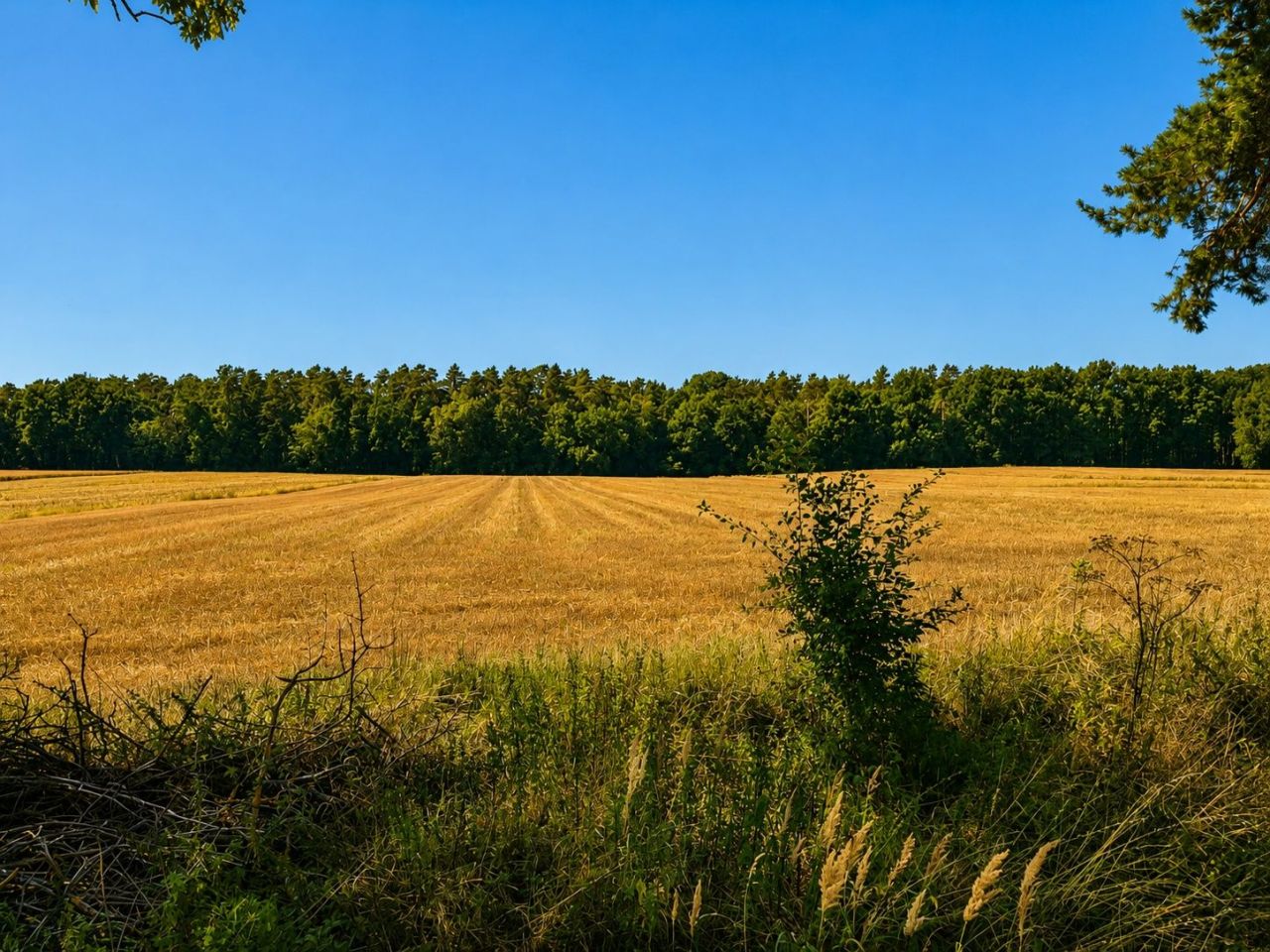 Działka rolna Świdniki. Zdjęcie 2