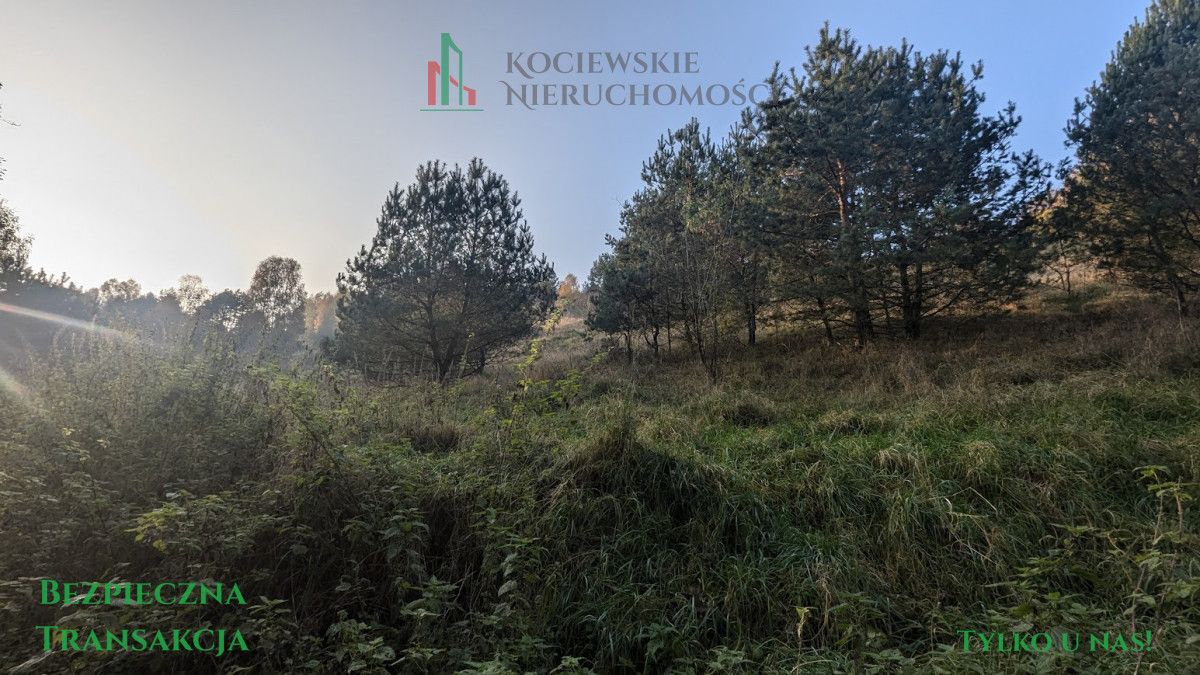 Działka inwestycyjna Głodowo. Zdjęcie 8