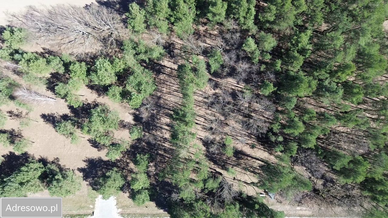 Działka budowlana Marynino. Zdjęcie 9