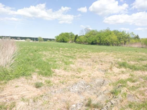 Działka budowlana Zajączków. Zdjęcie 5