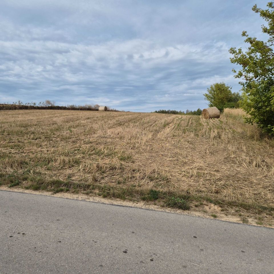 Działka rolna Szwarszowice. Zdjęcie 4