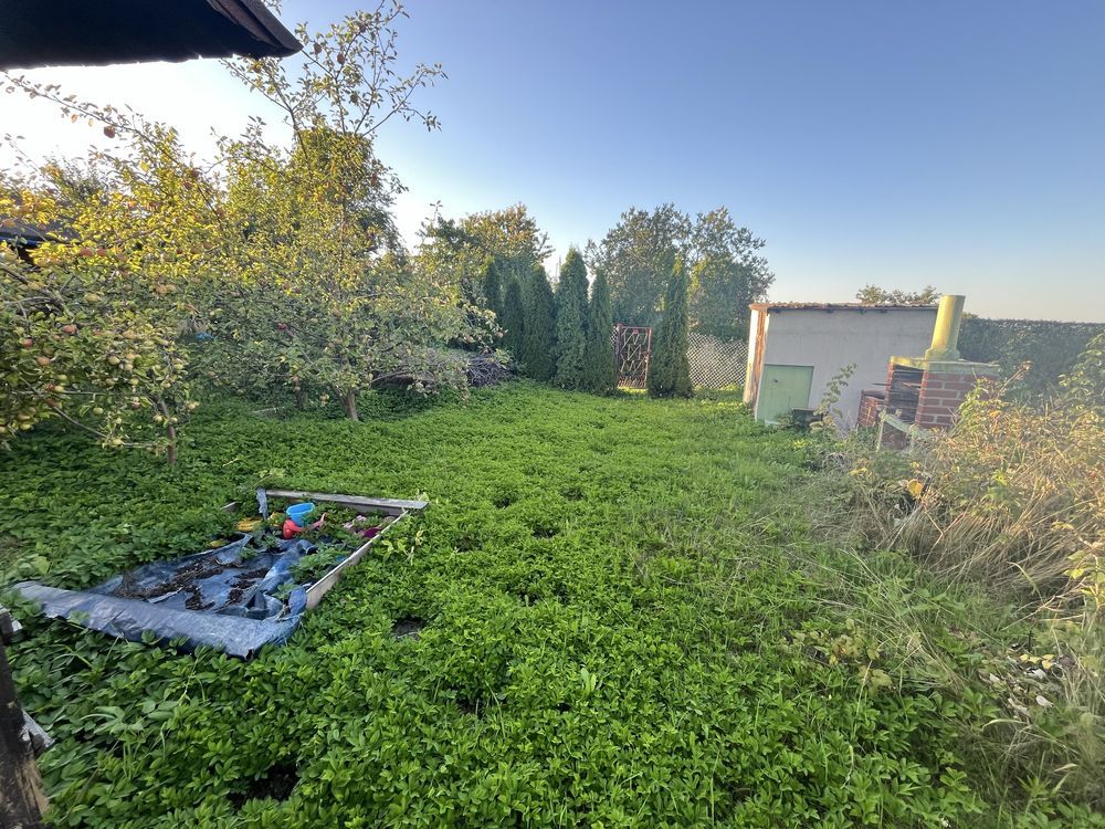 Działka rod Gliwice Bojków. Zdjęcie 6