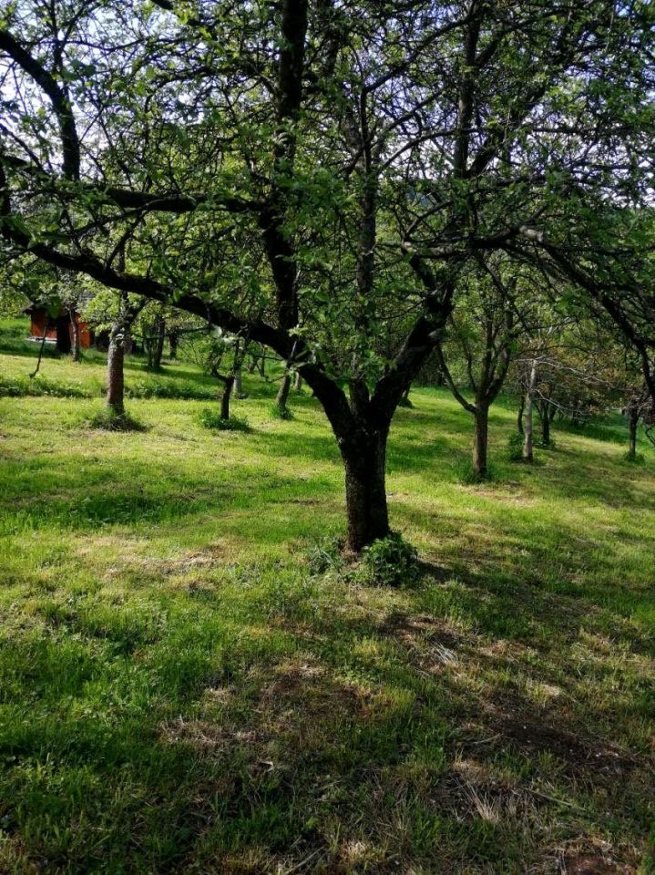 Działka budowlana Bysina. Zdjęcie 11