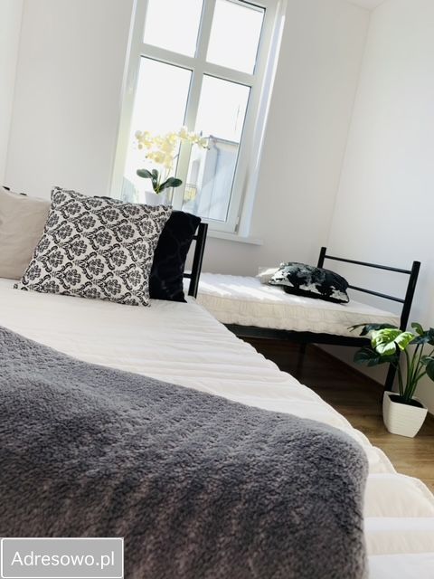 Pokój Nowa Sól, ul. W. Witosa. Zdjęcie 2