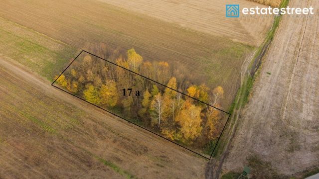 Działka rolna Wybrzeże. Zdjęcie 1