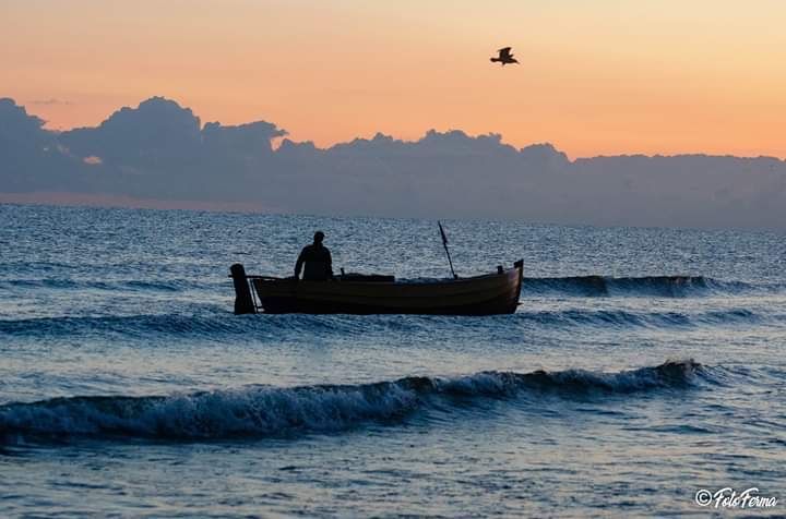 Działka budowlana Stegna, ul. Ogrodowa. Zdjęcie 3