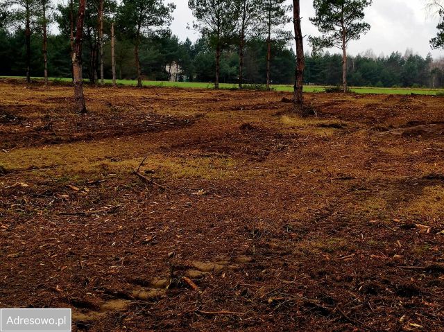 Działka budowlana Siedlątków. Zdjęcie 1