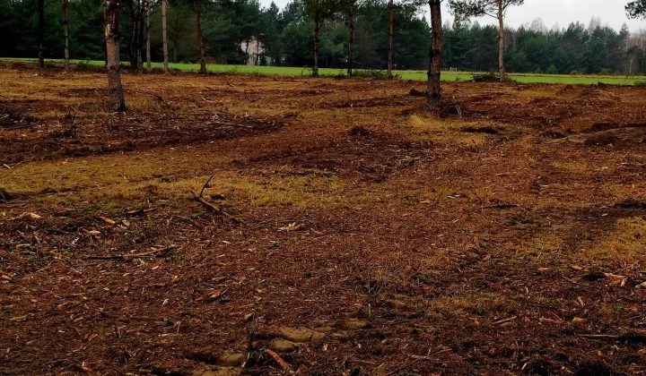 Działka budowlana Siedlątków