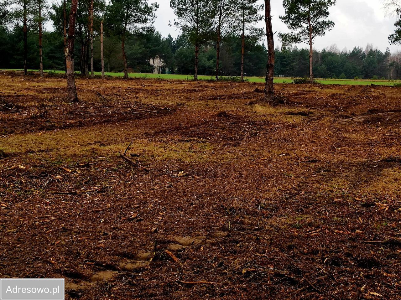 Działka budowlana Siedlątków. Zdjęcie 1