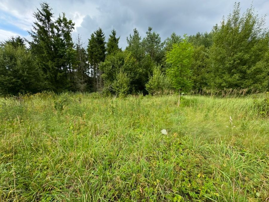 Działka budowlana Łapalice, os. Grabowiny. Zdjęcie 5