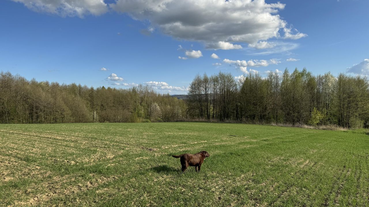 Działka budowlana Jedlicze Męcinka, ul. Partyzantów. Zdjęcie 10