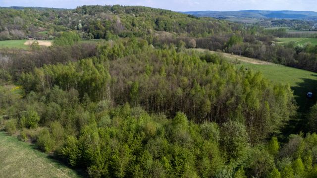 Działka rolna Laskówka. Zdjęcie 9