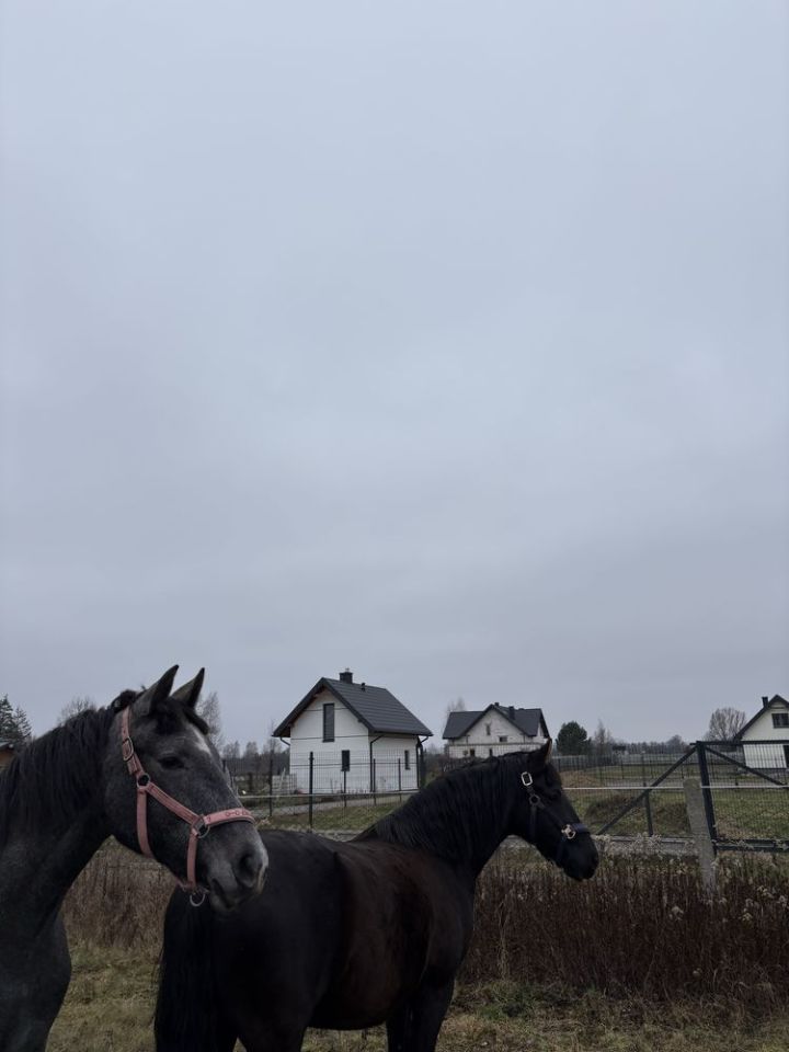 Działka budowlana Ołdaki. Zdjęcie 5