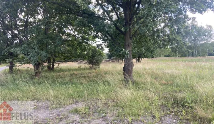 Działka siedliskowa Przeginia Narodowa