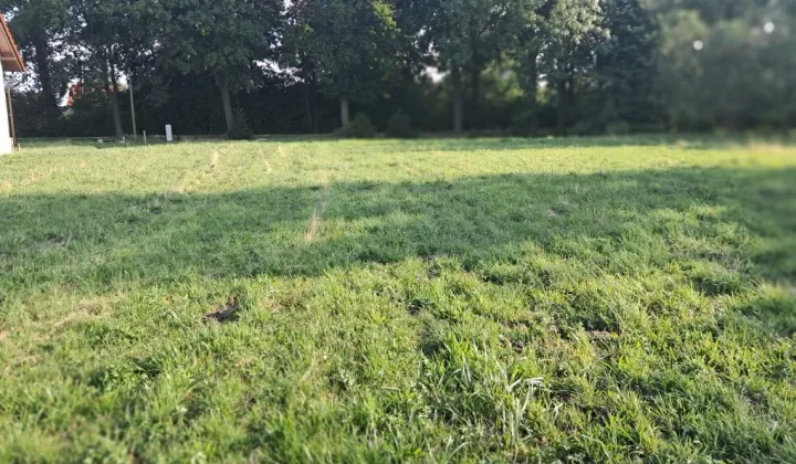 Działka budowlana Sławęcice