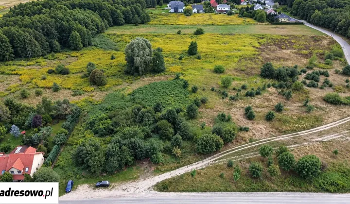 Działka rolno-budowlana Wilczyce, ul. Borowa