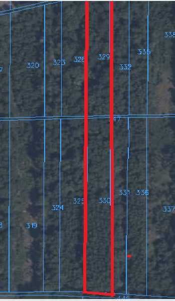 Działka leśna Zasów Parkany. Zdjęcie 3