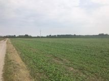 Działka rolno-budowlana Prusy