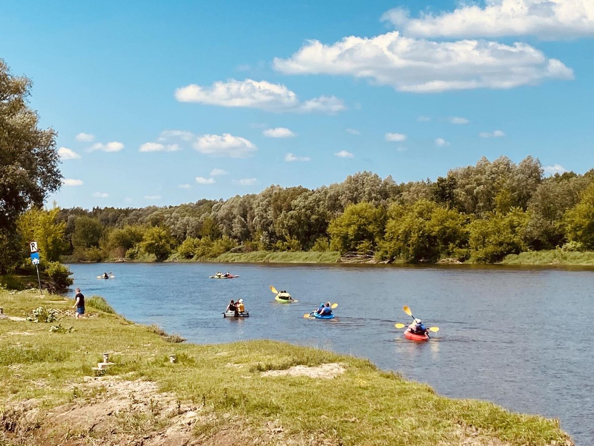 Nieruchomość komercyjna Serpelice. Zdjęcie 8