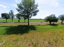 Działka rolna Słubice. Zdjęcie 2