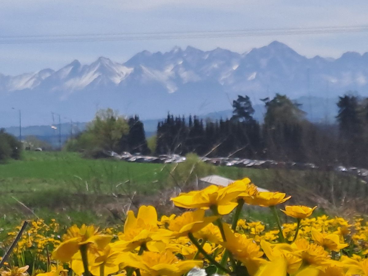 Działka budowlana Nowy Targ, ul. Ustronie. Zdjęcie 3
