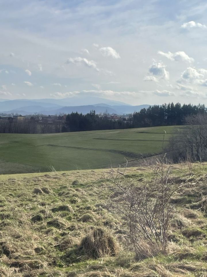 Działka siedliskowa Lipowa Poddzielec, ul. Śnieżna