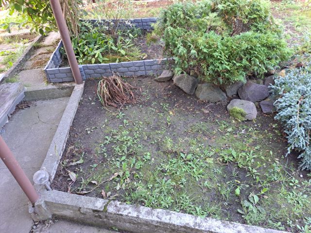 Działka rod Jastrzębie-Zdrój Zofiówka, ul. Wojciecha Korfantego. Zdjęcie 1