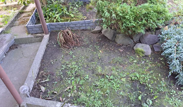 Działka rekreacyjna Jastrzębie-Zdrój Zofiówka, ul. Armii Krajowej