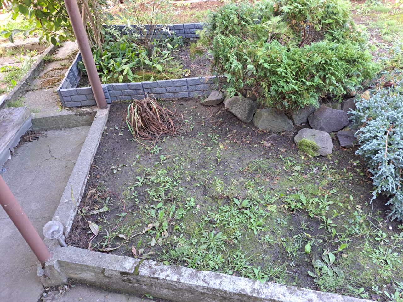 Działka rod Jastrzębie-Zdrój Zofiówka, ul. Wojciecha Korfantego. Zdjęcie 1