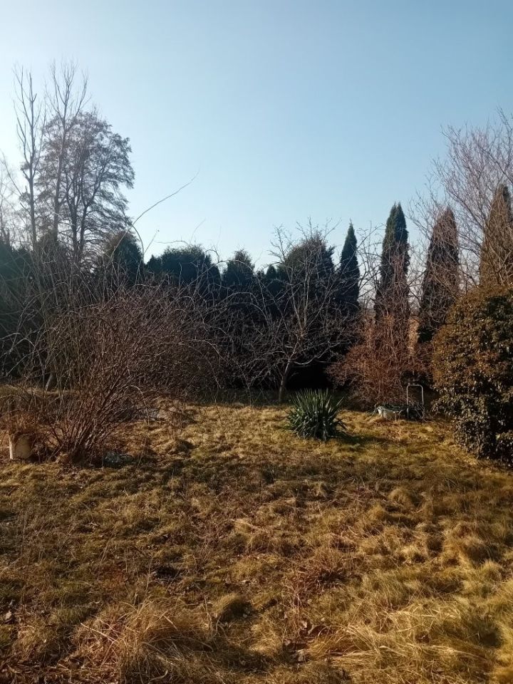 Działka rod Świdnica Łochowo. Zdjęcie 4