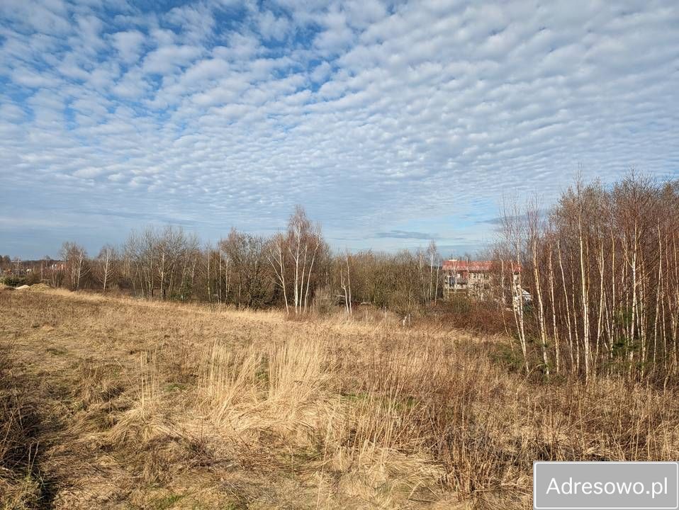 Działka budowlana Okmiany. Zdjęcie 11