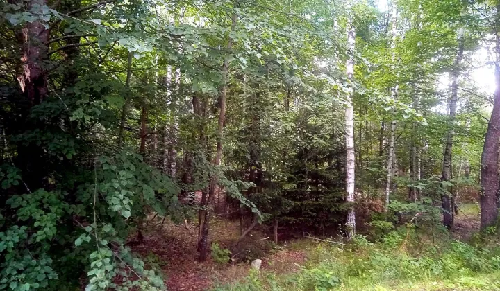 Działka rolno-budowlana Skupowo