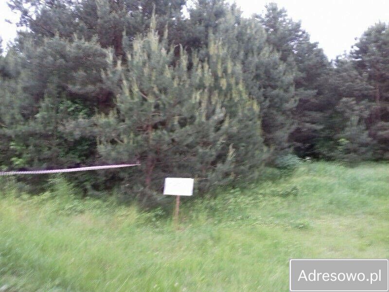 Działka rekreacyjna Kobylin. Zdjęcie 4