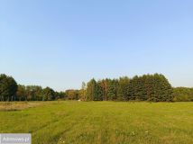 Działka budowlana Krubki-Górki. Zdjęcie 3